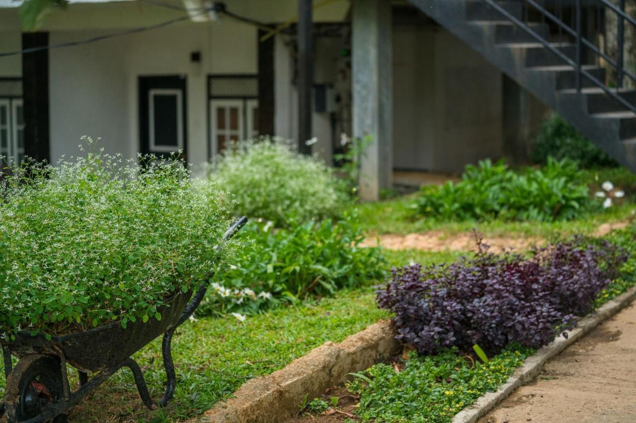 Ella Forest Paradise Hotel Exterior foto
